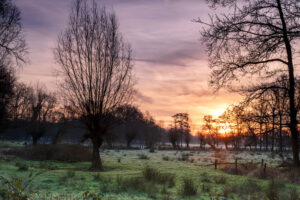 fotoprint Mortelen 41