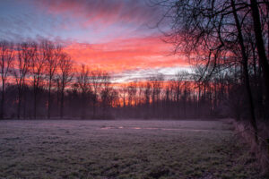 fotoprint Mortelen 42