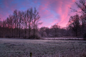 fotoprint Mortelen 43