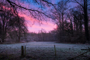 fotoprint Mortelen 44