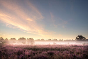 Fotoprint Oirschotse Heide 01