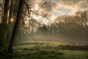 fotoprint Scheeken 40