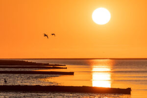 fotoprint Vlieland 106