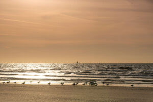 fotoprint Vlieland 53