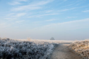 fotoprint Kampina De Roond 01