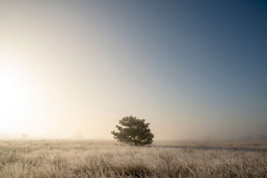 fotoprint Kampina De Roond 02
