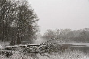 Fotoprint Kampina Winter 31