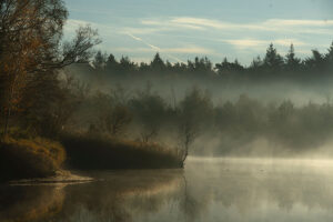 Fotoprint Oisterwijkse Vennen 42