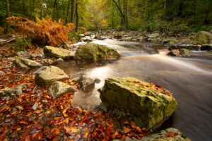 Fotoprint La Hoegne - Belgie 53