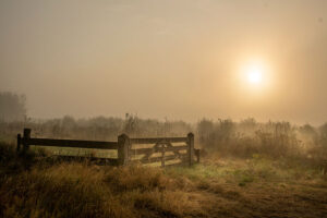 Fotoprint Landgoed Baest 65