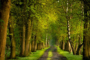 Fotoprint Kampina Spoordonk 68