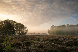 Fotoprint Netersel 90