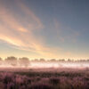 Fotoprint Oirschotse Heide 92