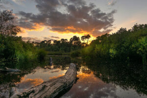 Fotoprint Kampina Oisterwijkse Vennen 96